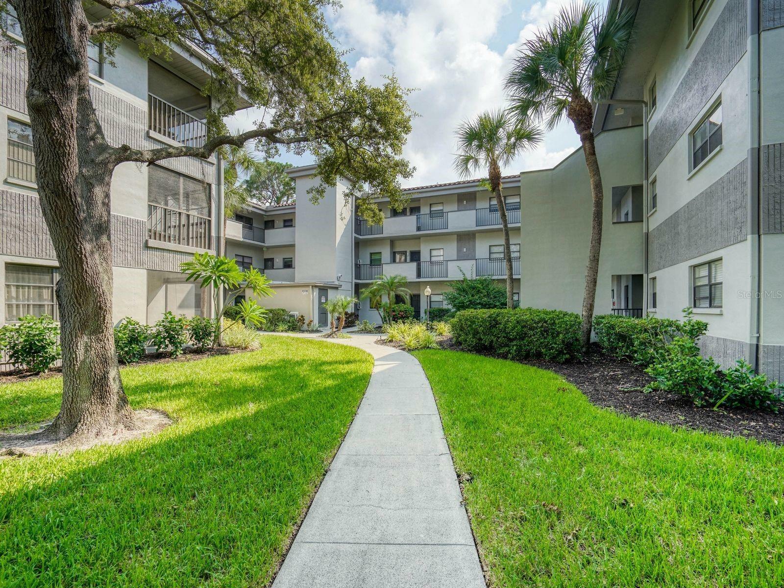 Property Photo:  2650 Countryside Boulevard B205  FL 33761 