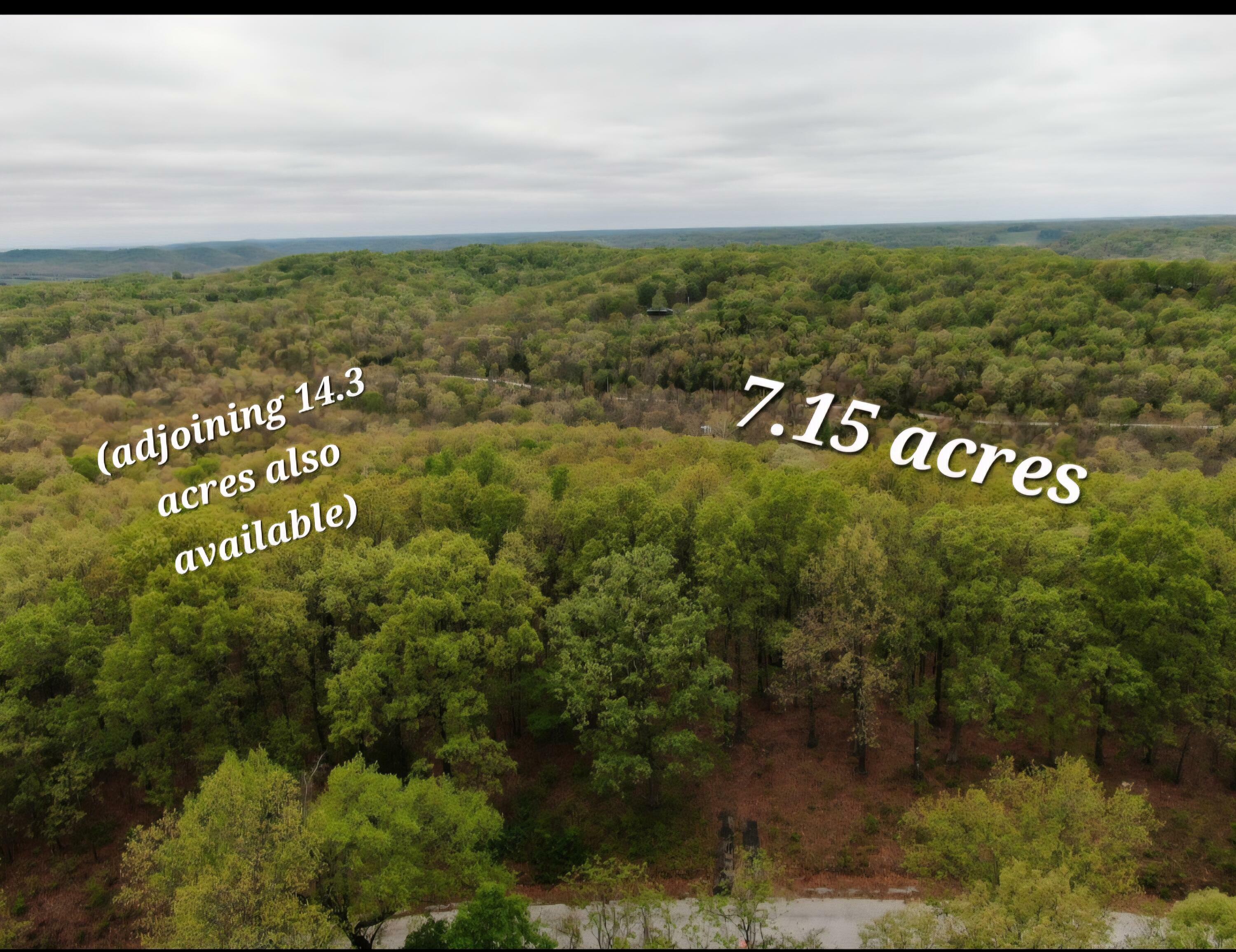 Lot 26-1 High View Circle  Bruner MO 65620 photo