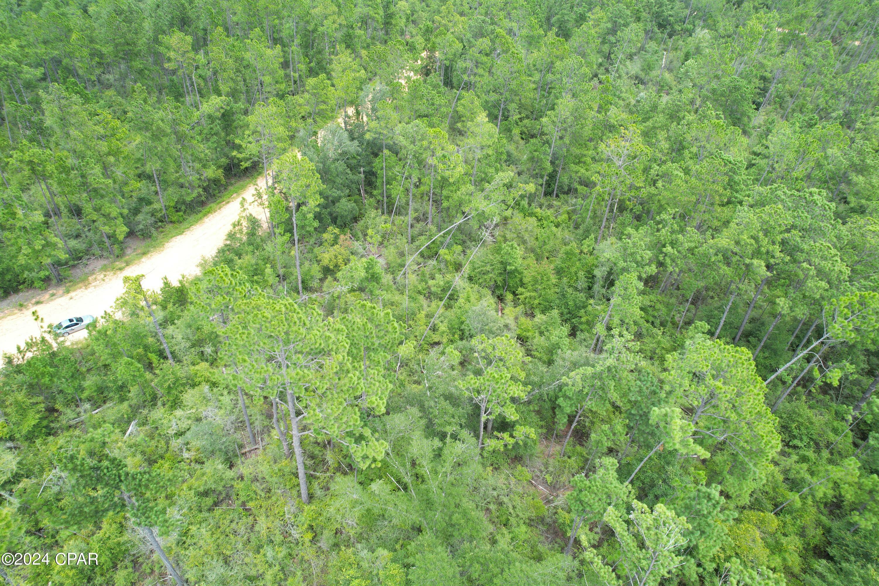 Property Photo:  00 Glacier Street  FL 32420 