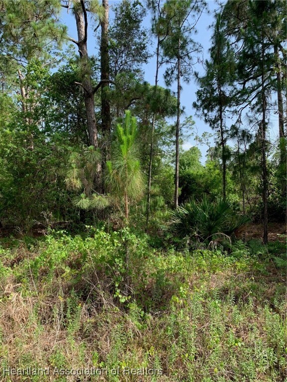 Property Photo: 10828 Bending Oak Drive FL 33875