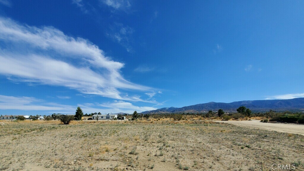 Property Photo:  0 Buena Vista Rd  CA 92372 