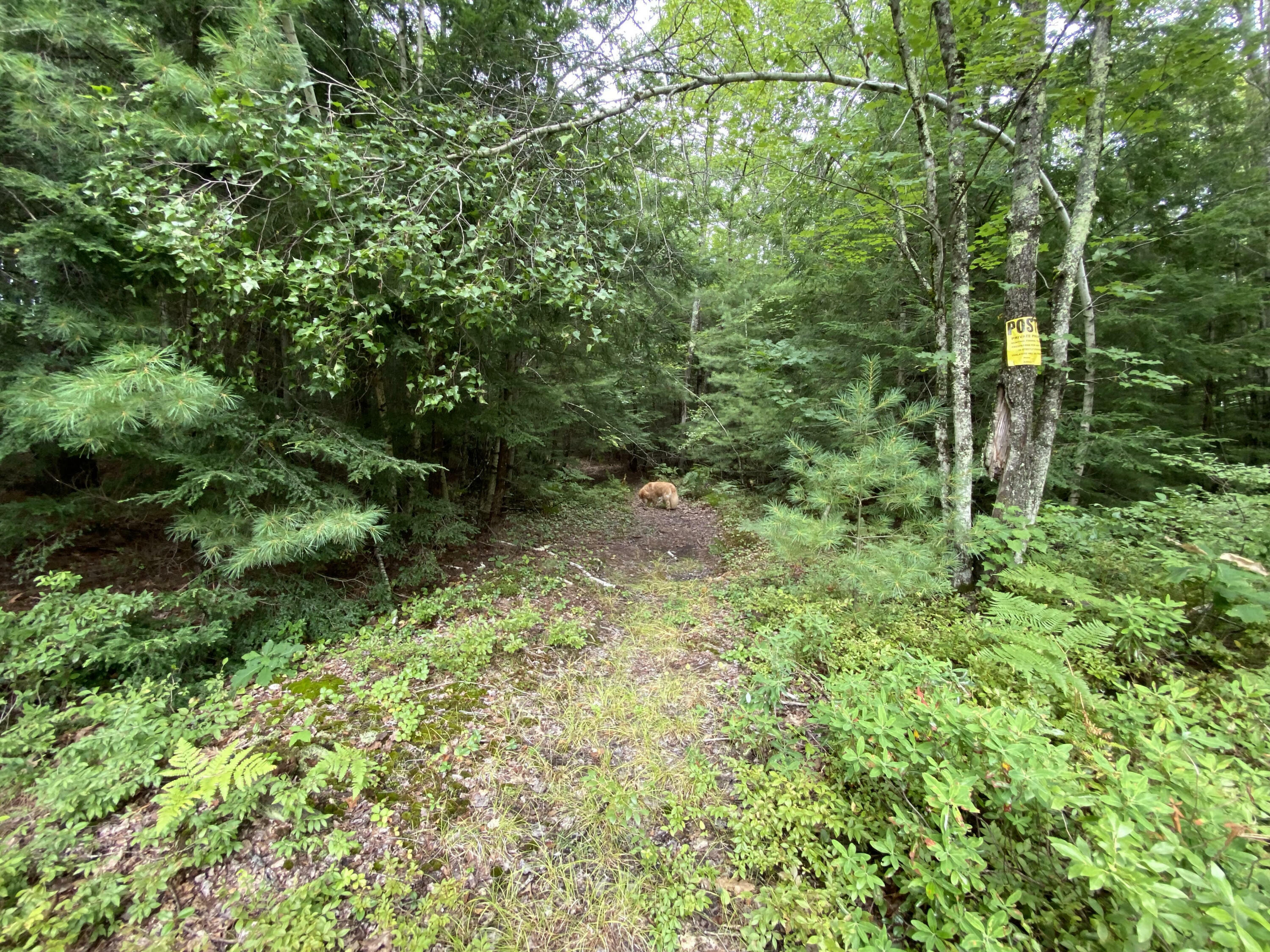 Property Photo:  77 Lincoln Road Lot 1  ME 04072 