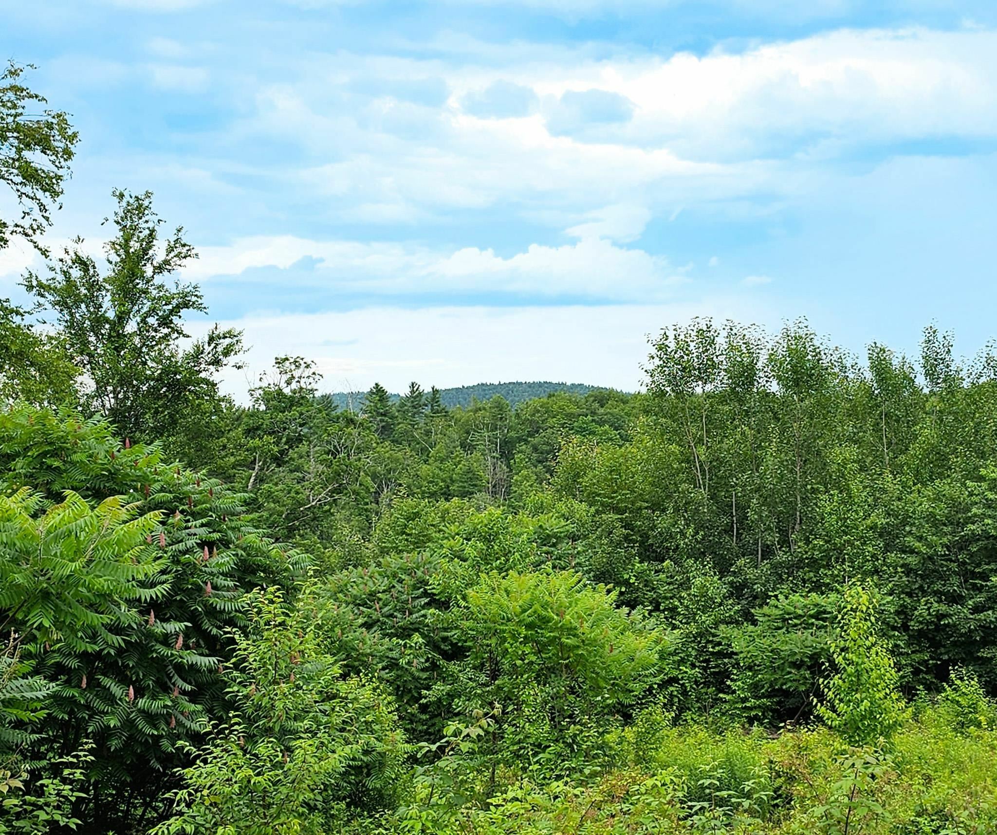 Property Photo:  108 Hopkins Road  VT 05301 