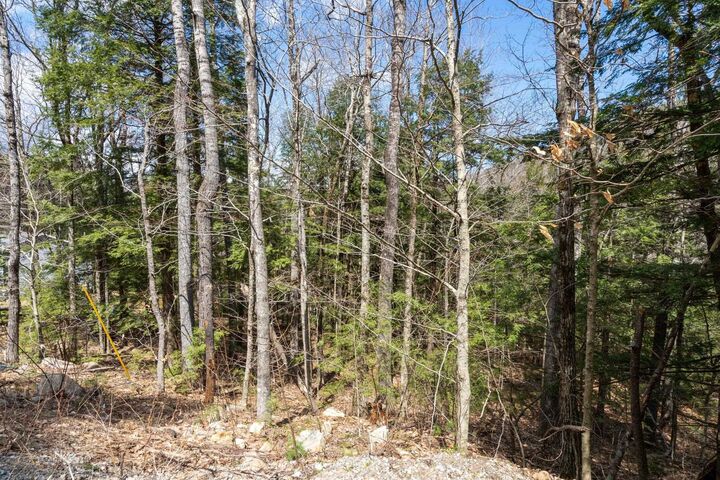 Property Photo:  M71 B165 Cynthia Drive  NH 03810 