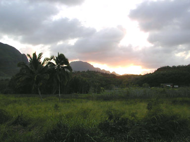 Unit #10, Niumalu  Lihue HI 96766 photo