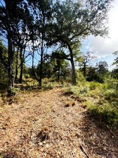 Property Photo:  716 Saint Delight Road  TX 78659 