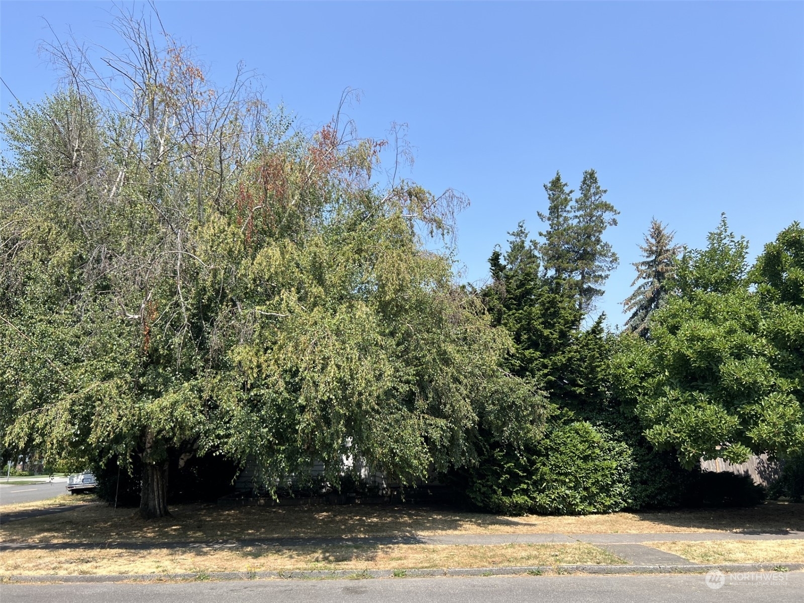 Property Photo:  817 4th Avenue SW  WA 98371 