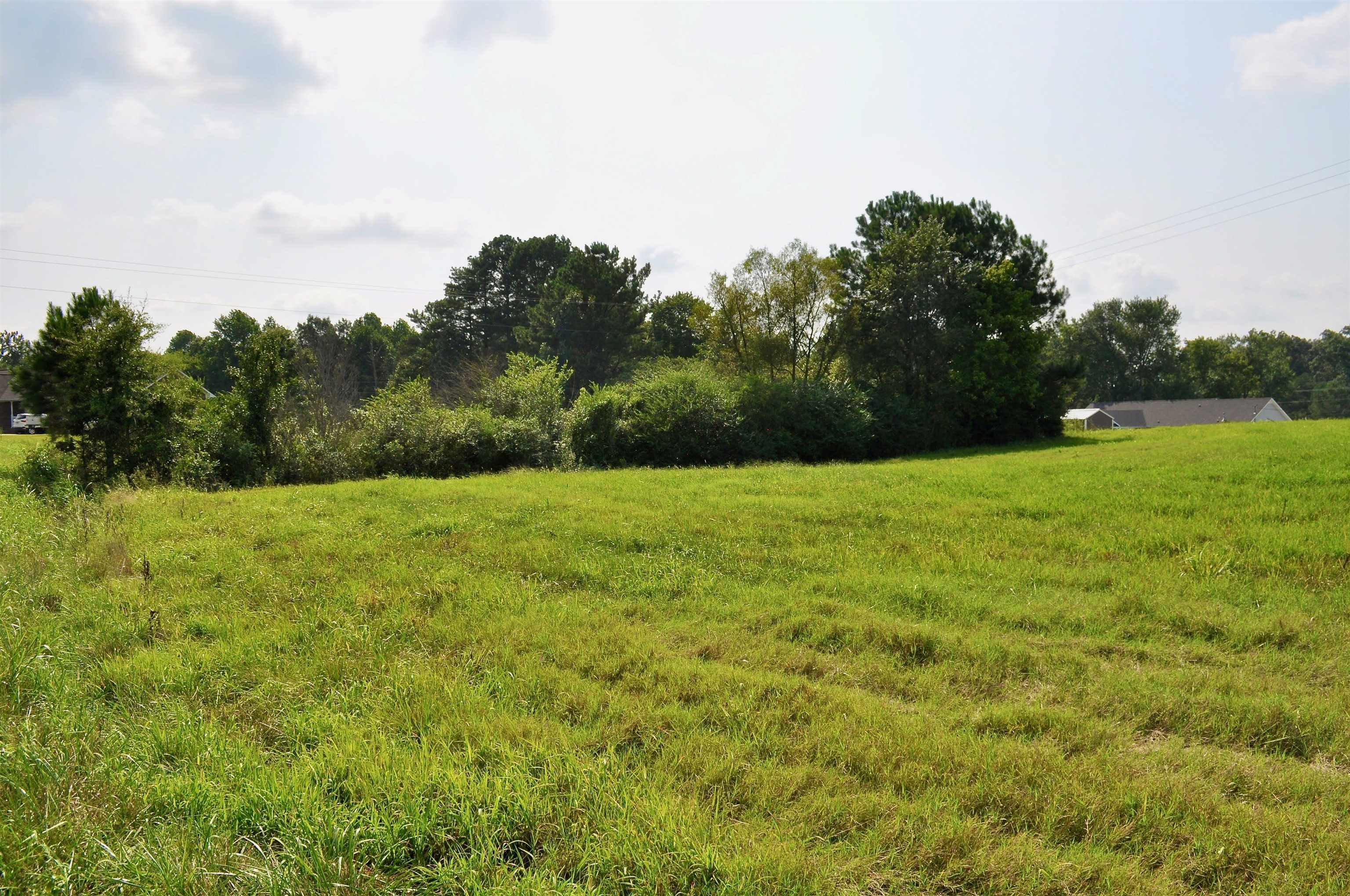 Property Photo:  Lot 4 Tiffani Dr  AL 35058 - CULLMAN 