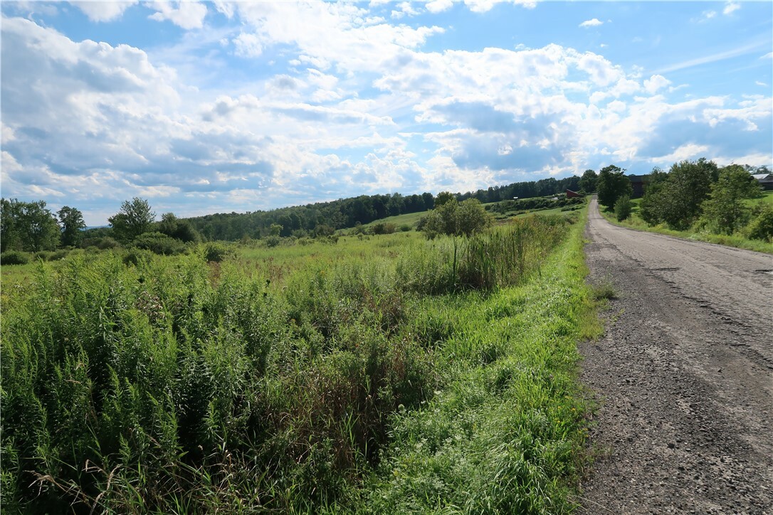 Property Photo:  Lot 1 Staley Road  NY 13863 