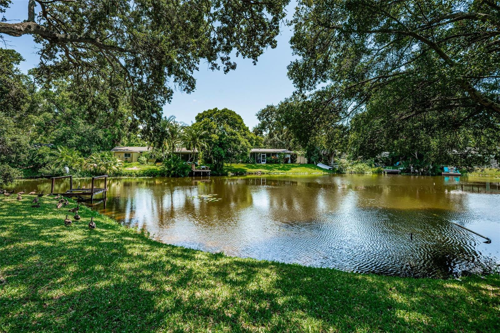 1069 Idlewild Drive N  Dunedin FL 34698 photo