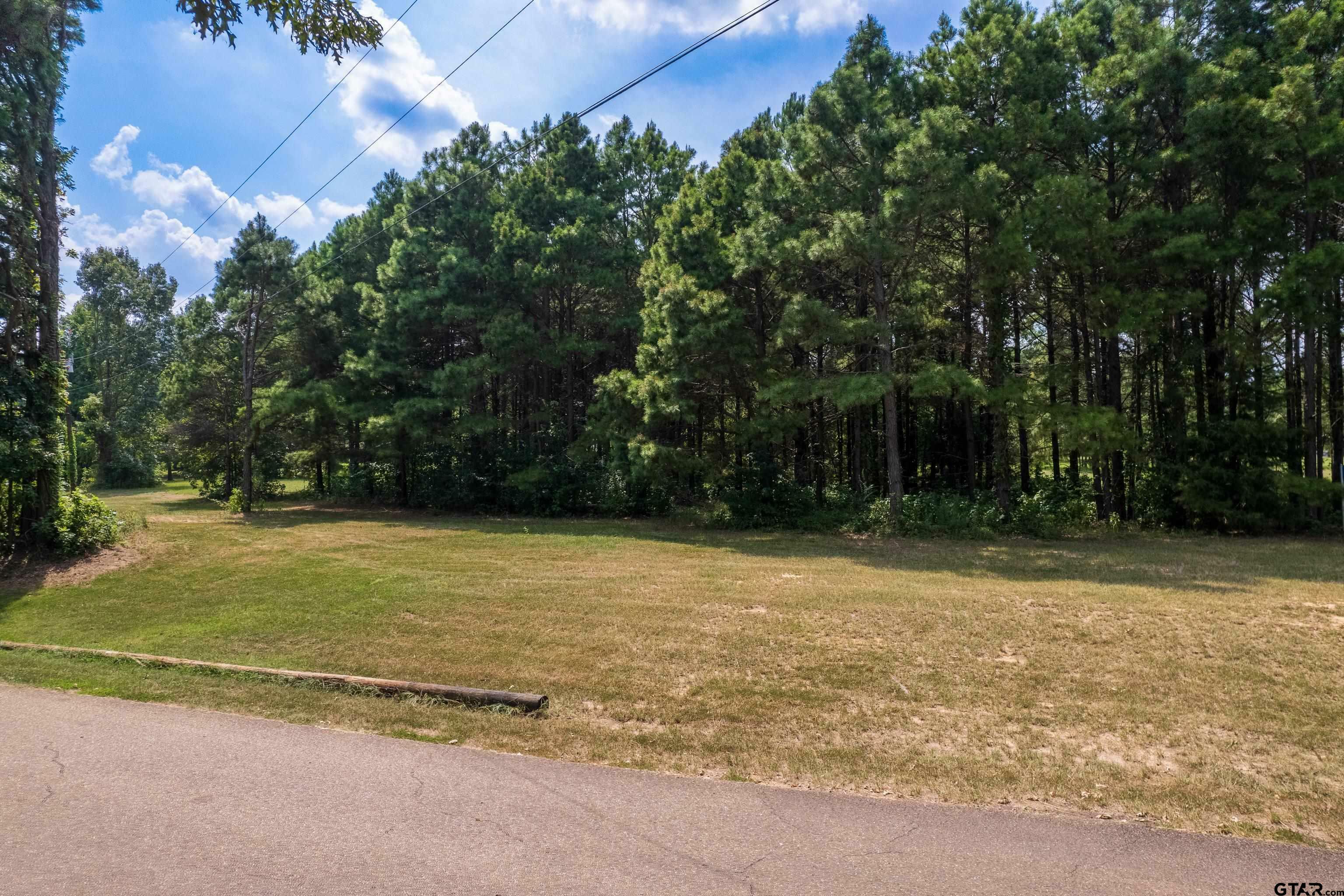 Property Photo:  Lot 4 SW 2940  TX 75686 