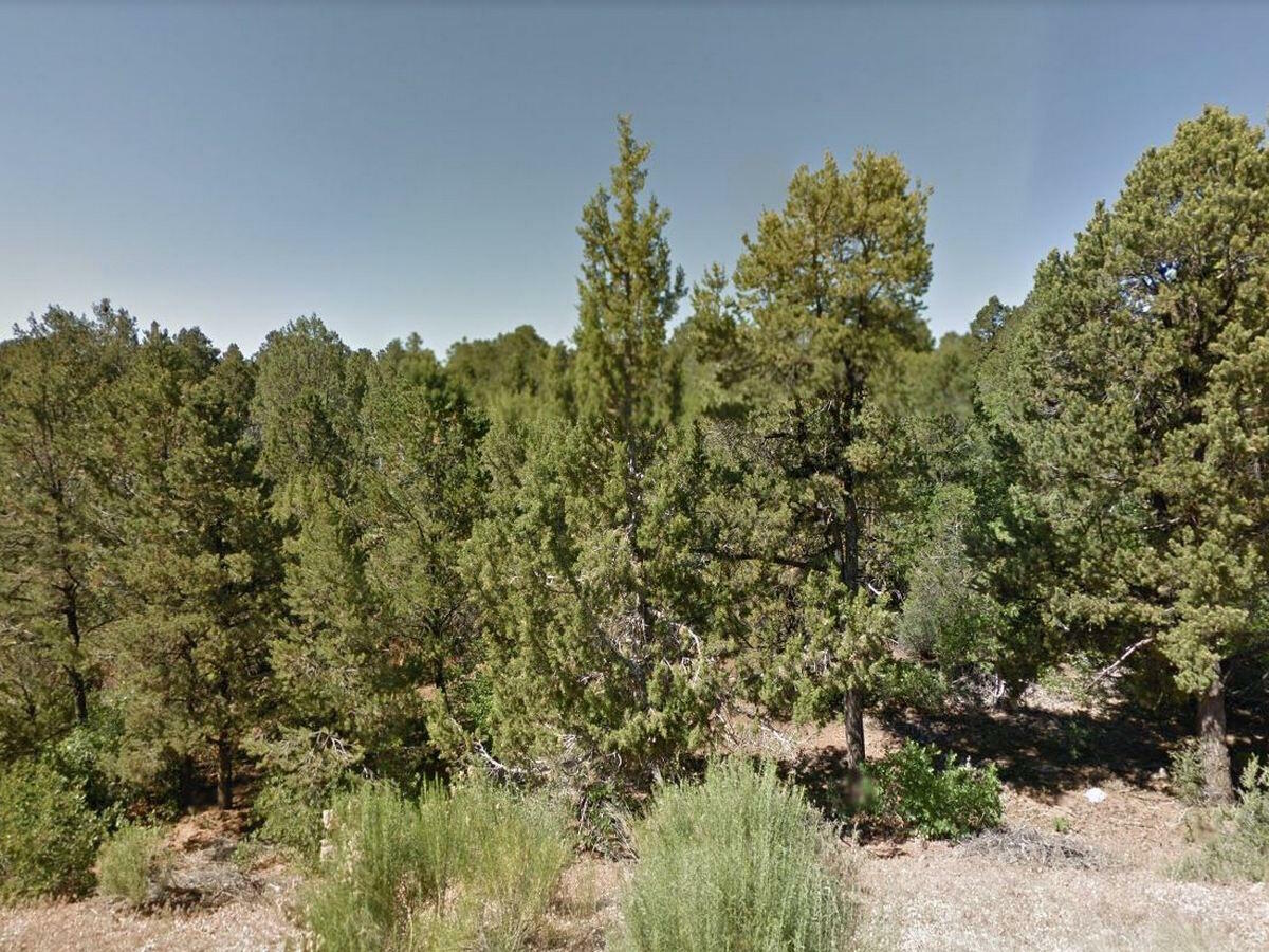 Property Photo:  Lot 5 Cougar Canyon Blk F  UT 84762 