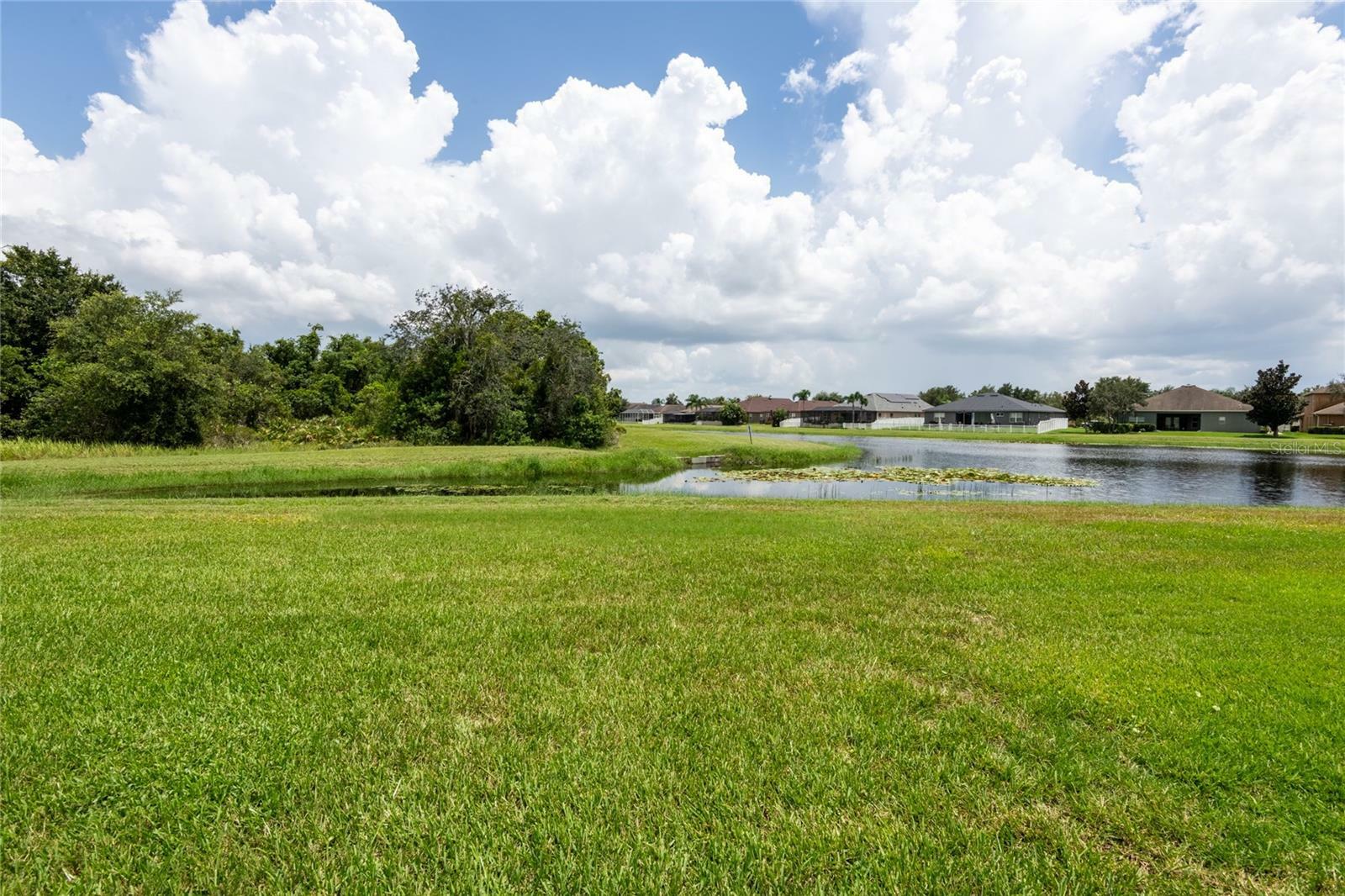 Property Photo:  10817 Australian Pine Drive  FL 33579 