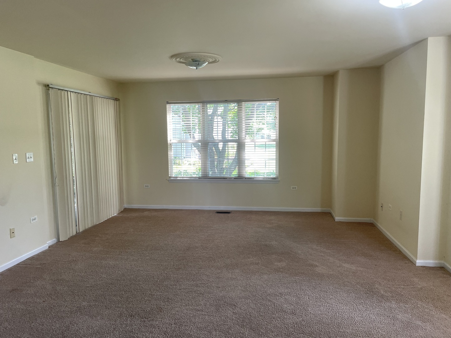 Property Photo:  2219 Waterleaf Court 101  IL 60564 