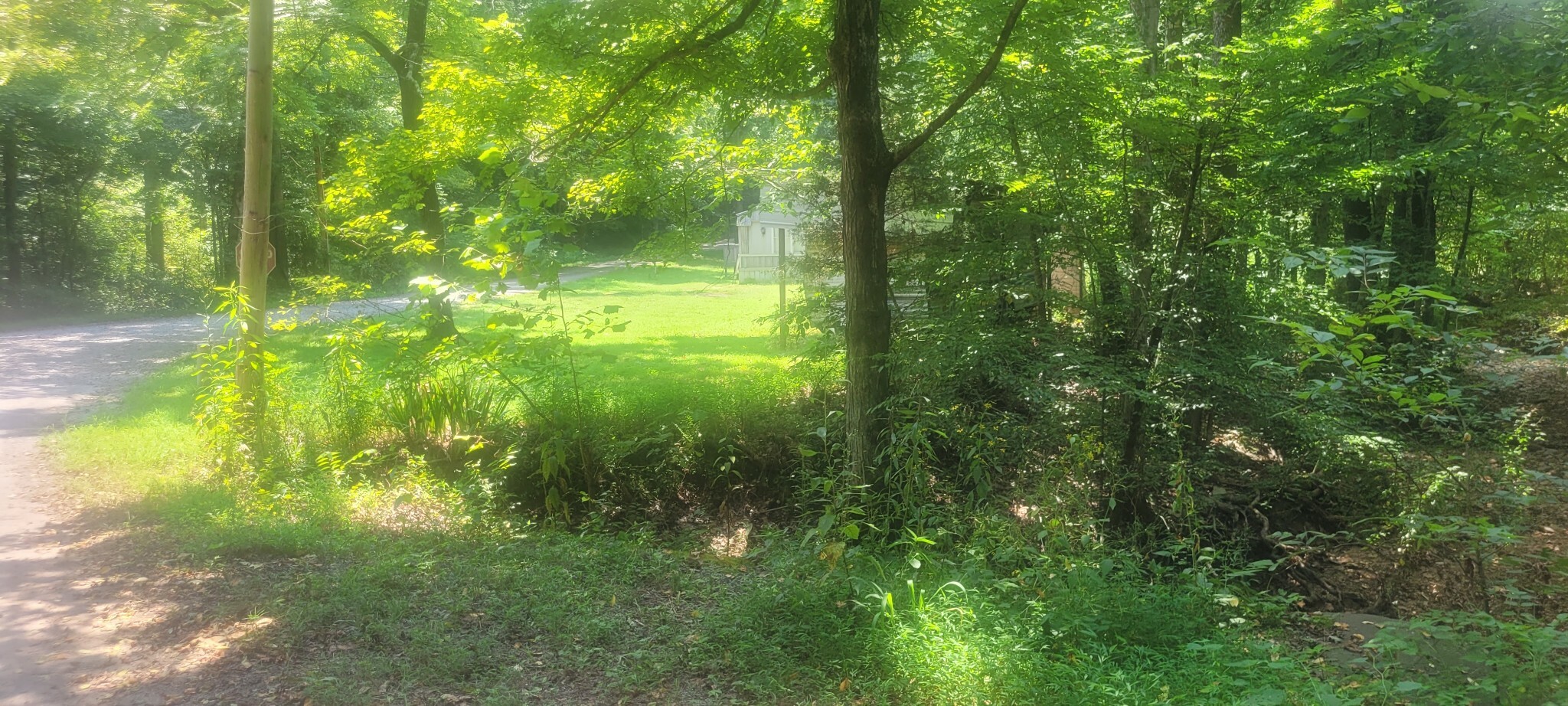 Property Photo:  199 Morris Wallace Rd  TN 37175 