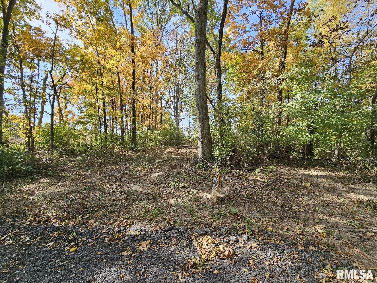 Property Photo:  0000 N Cash Lane  IL 62894 