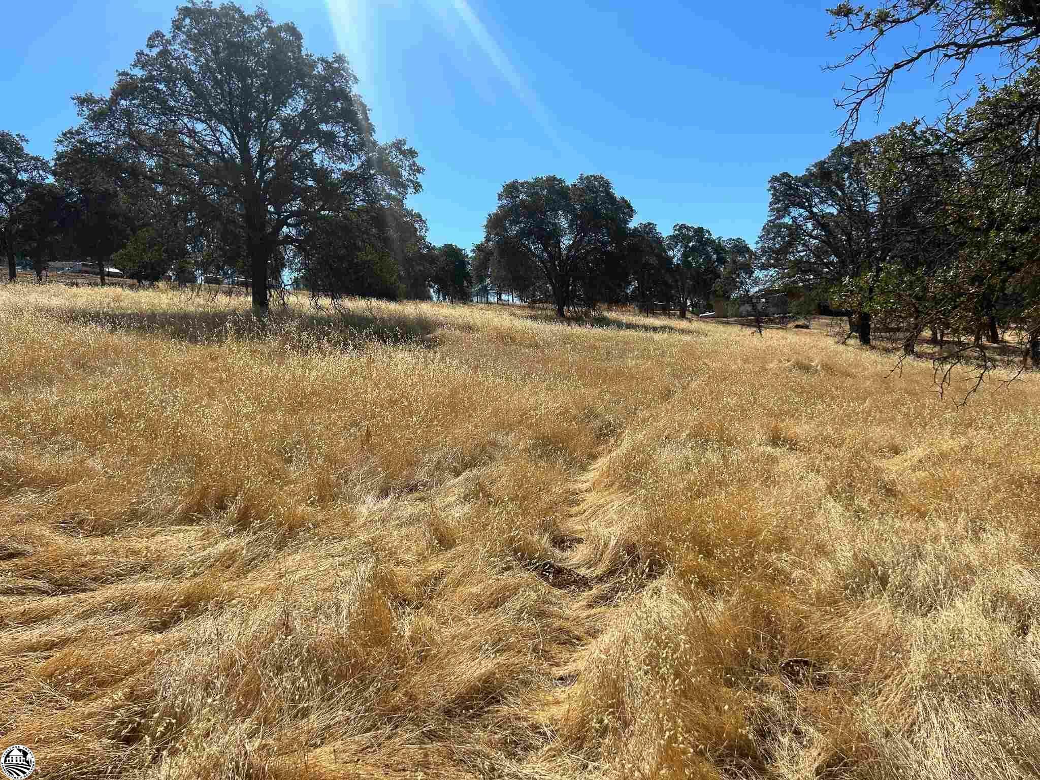 Property Photo:  3178 Granite Springs Road  CA 95311 