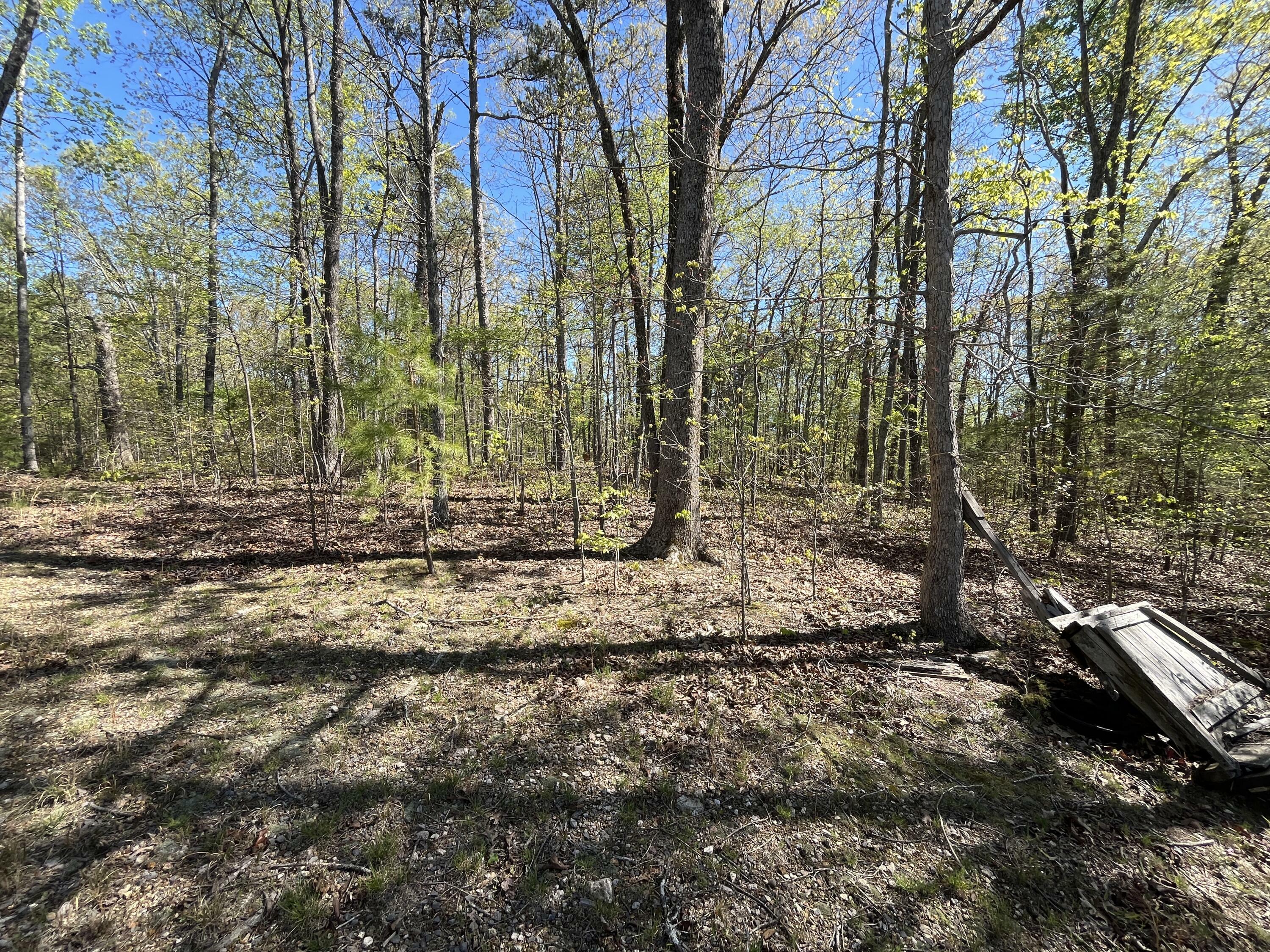 Property Photo:  35 Acres Lafayette Rd  GA 30740 