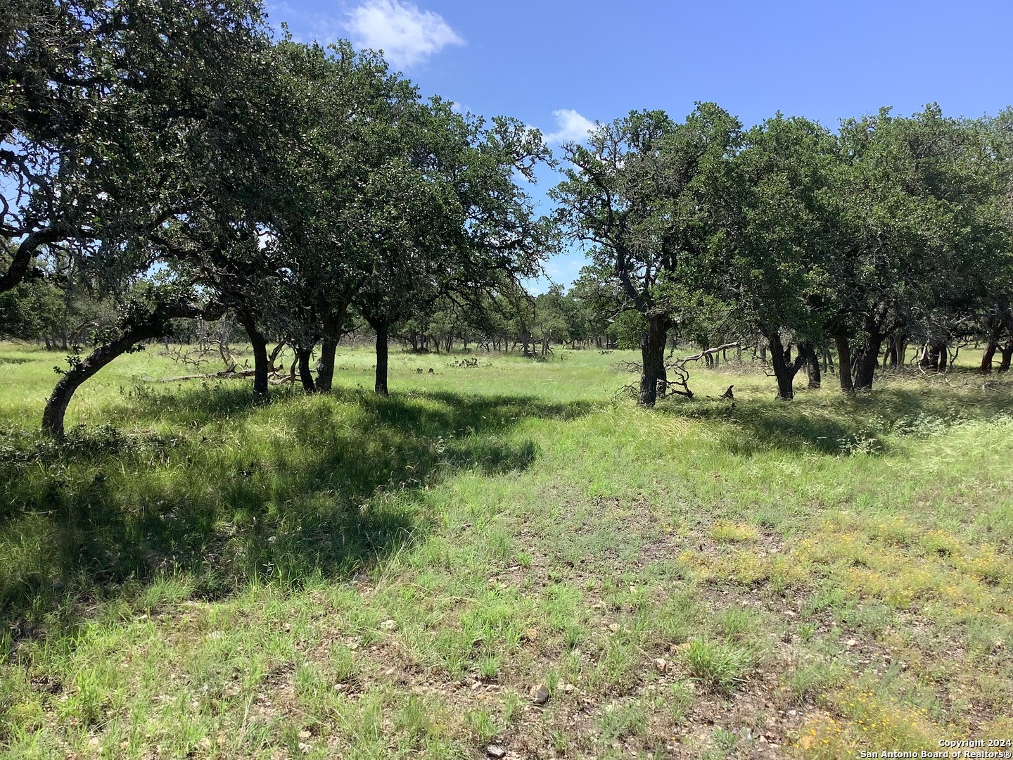 Property Photo:  477 Burrus Ranch Rd.  TX 78058 