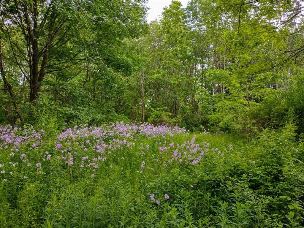 Property Photo:  5980 Turnpike Road  NY 14886 