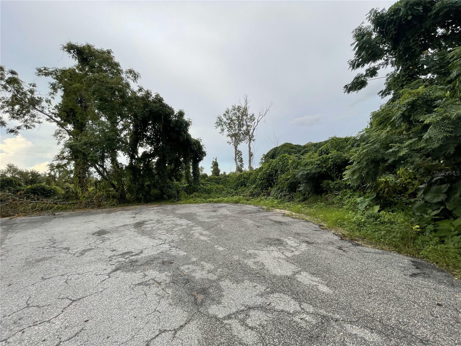 Property Photo:  Tbd Hickory Track Drive  FL 34472 