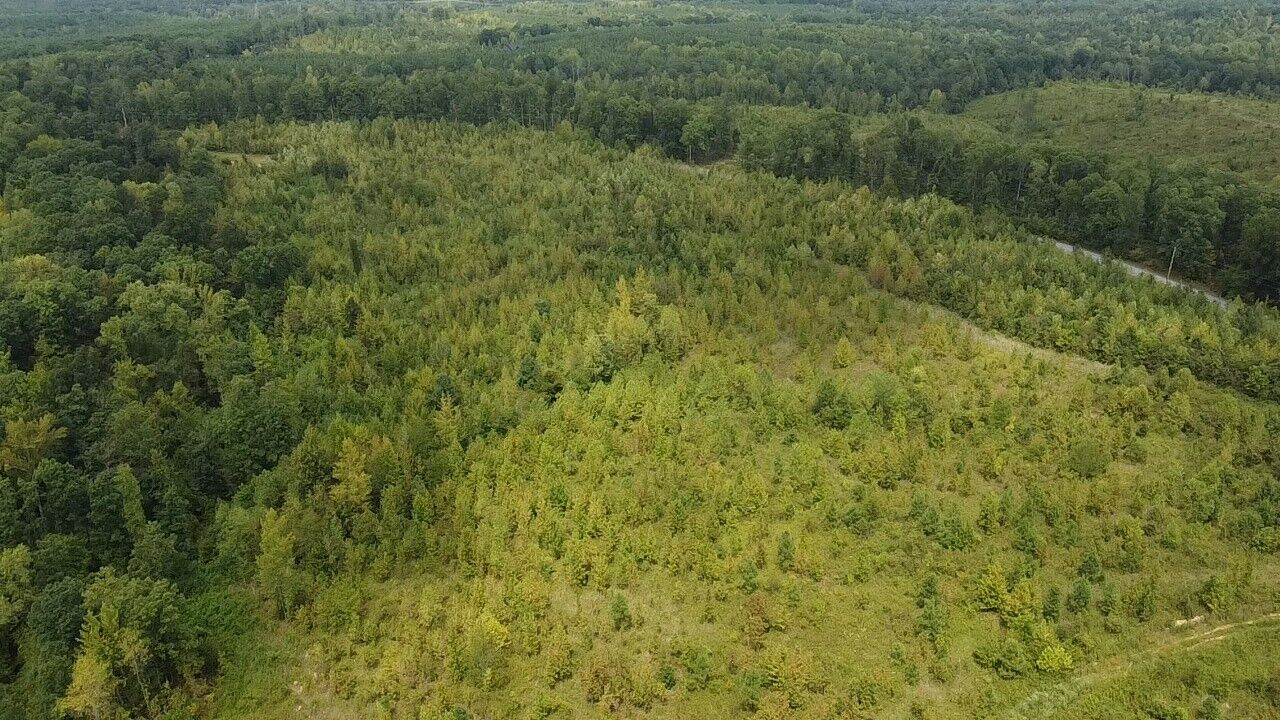 Property Photo: 1265 Old Highway 18 TN 37058