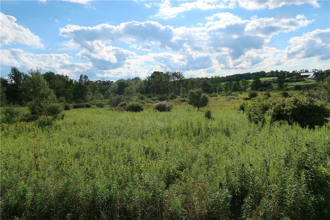 Property Photo:  Lot 3 German Road  NY 13863 