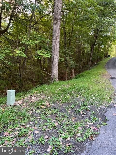 Property Photo:  Willow Lot 183  VA 22842 