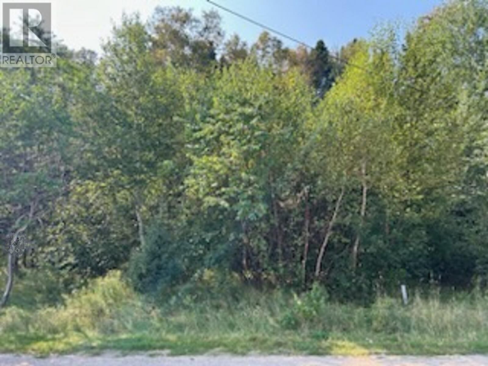 Property Photo:  142 Main Street  NL A0G 4K0 