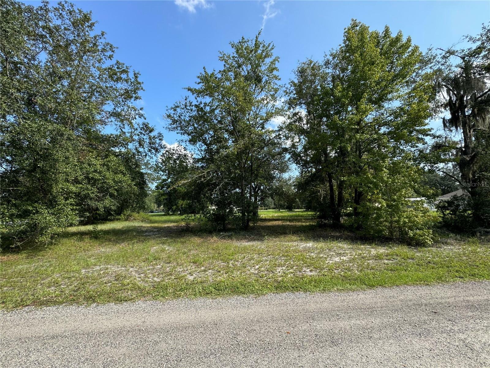 Lot 3 SW 125th Loop  Worthington Springs FL 32697 photo