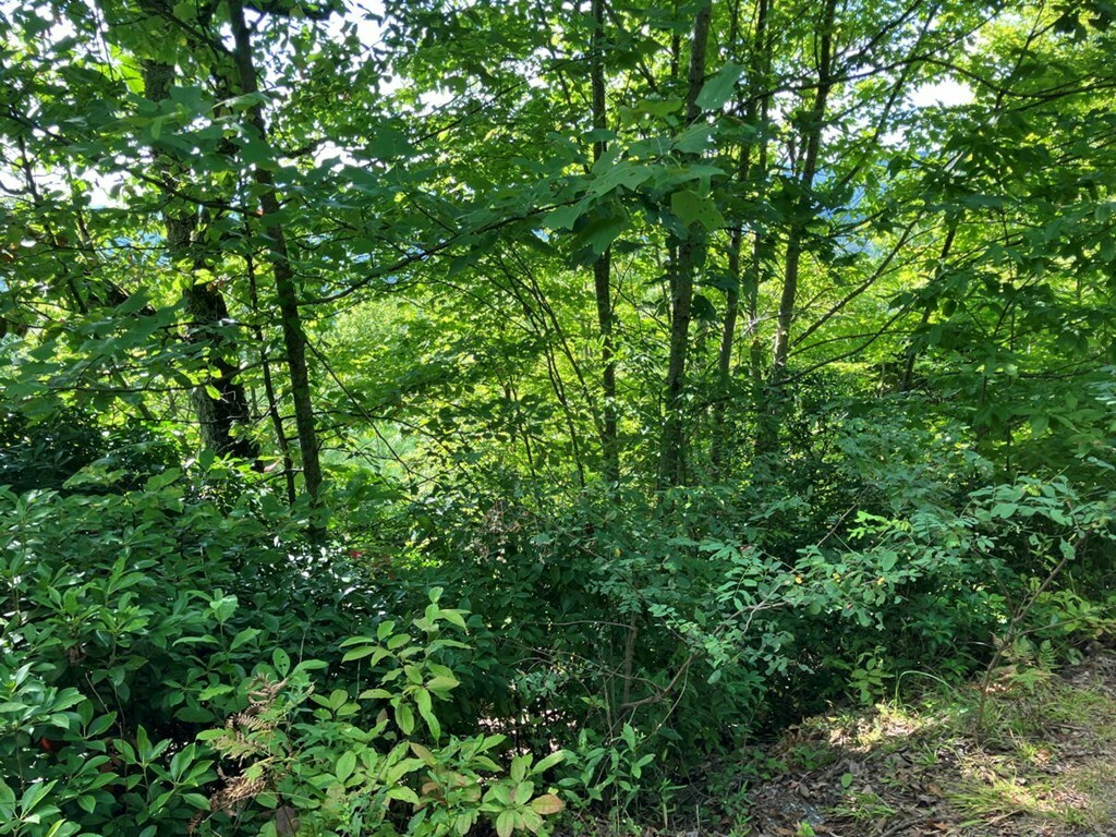 Property Photo:  Lot 10 Brasstown Heights  NC 28906 