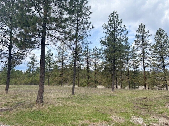 Property Photo: 142 Art Creek Road WA 91150