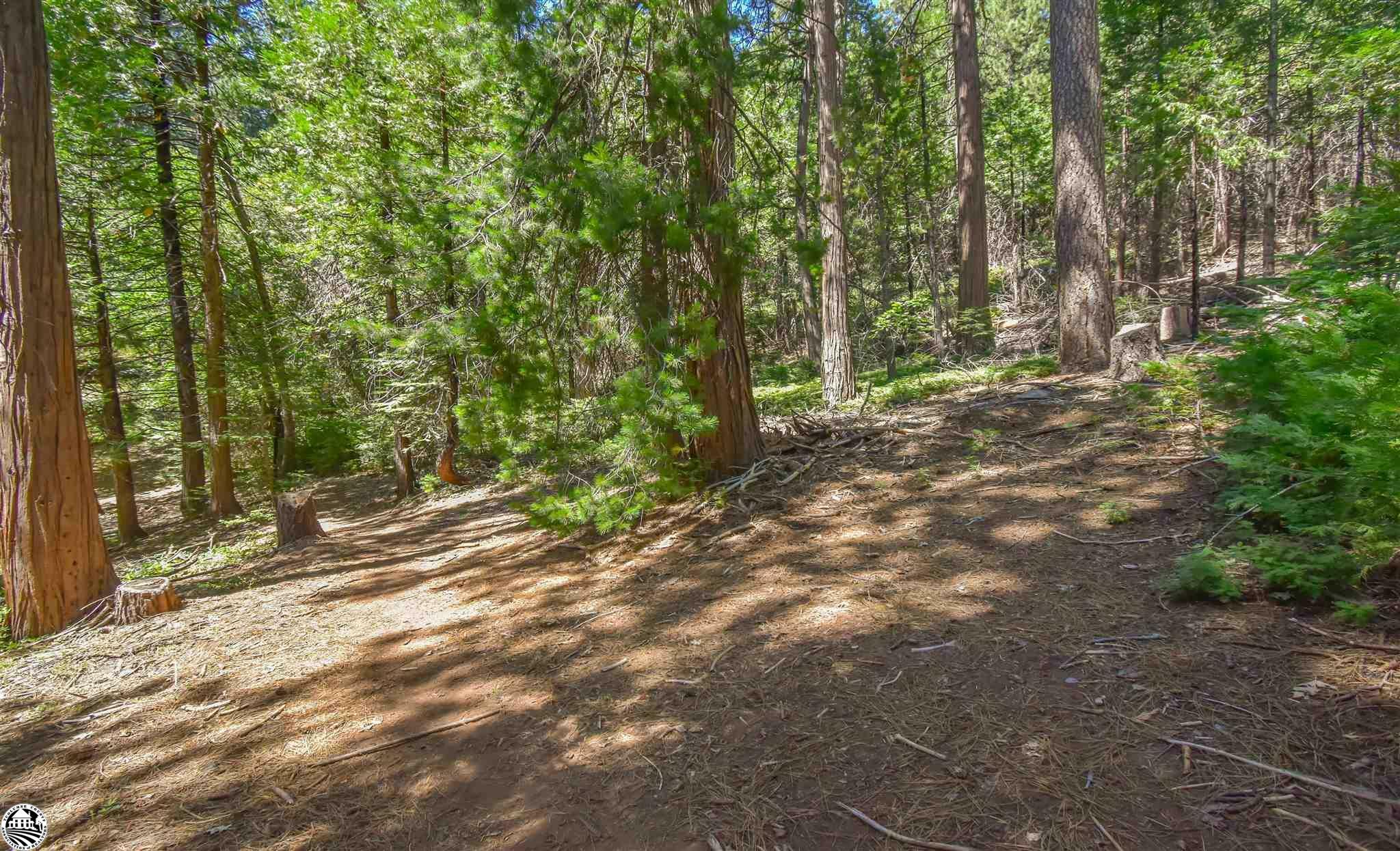 Property Photo:  24325 Hiema Court  CA 95346 