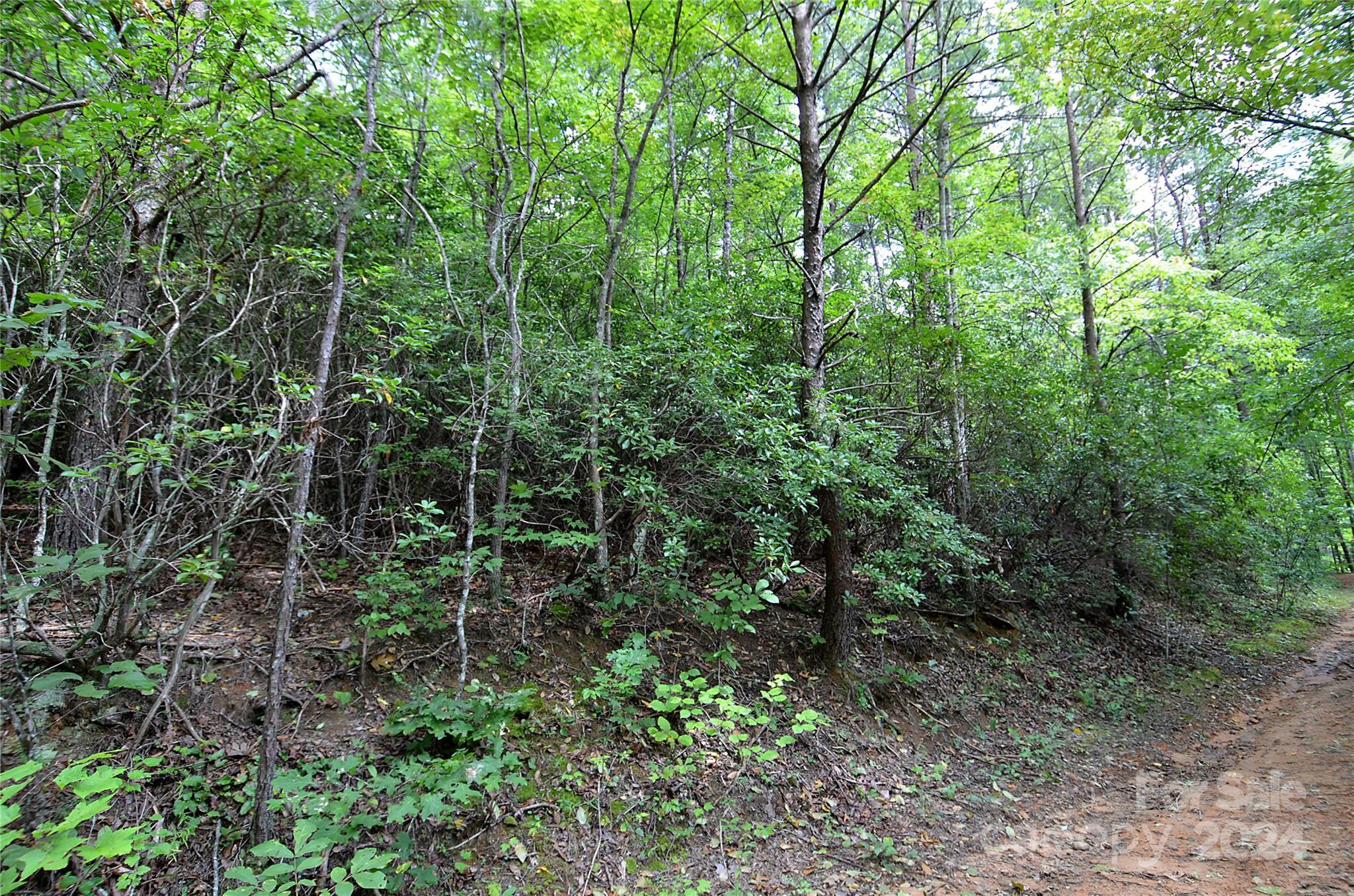 Property Photo:  0 Jarrell Loop  NC 28762 