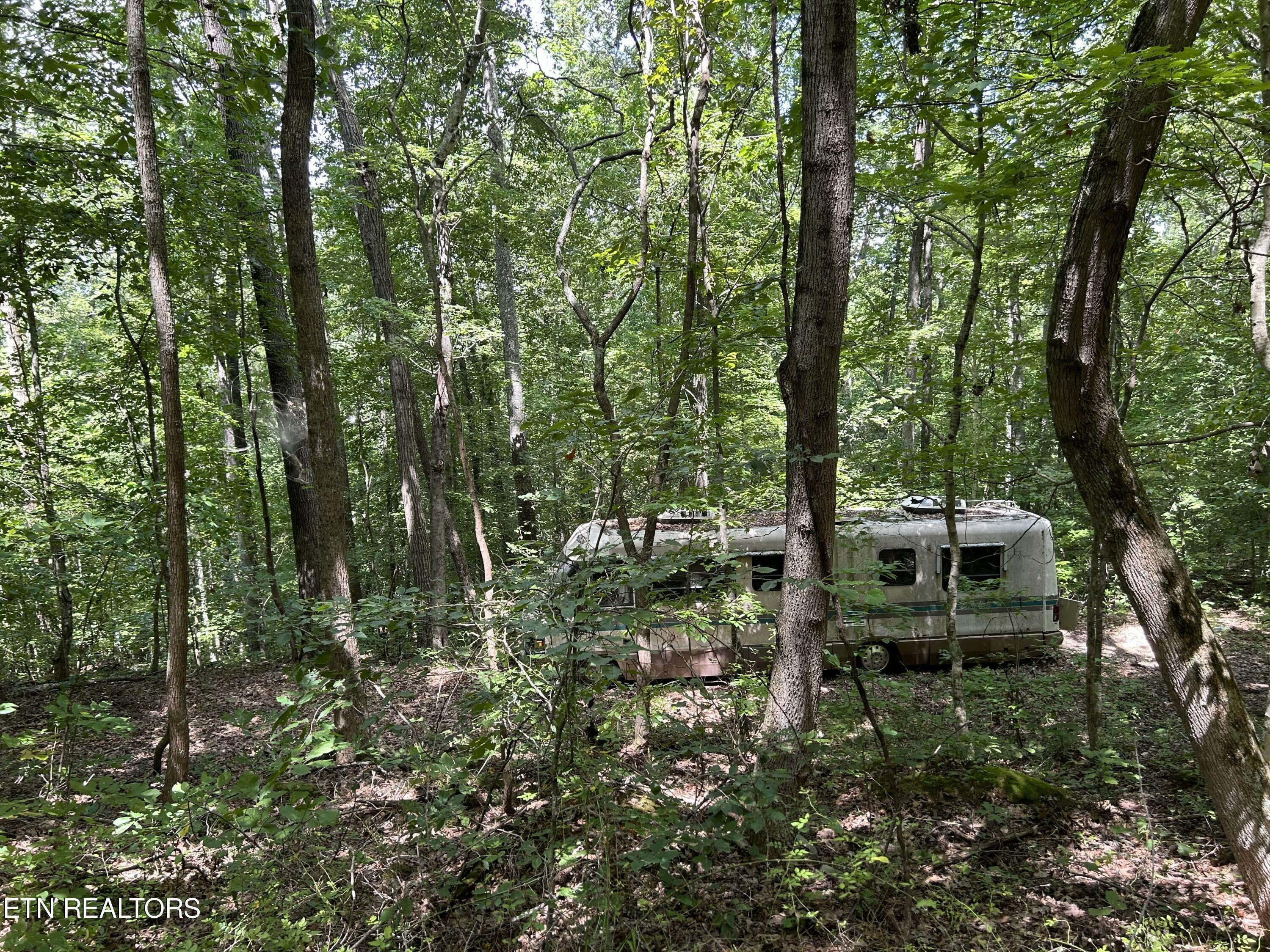 Property Photo:  Meandering Lot 3 Circle  TN 37807 