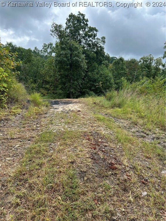 Property Photo:  Lot 6 Foster Road  WV 25081 