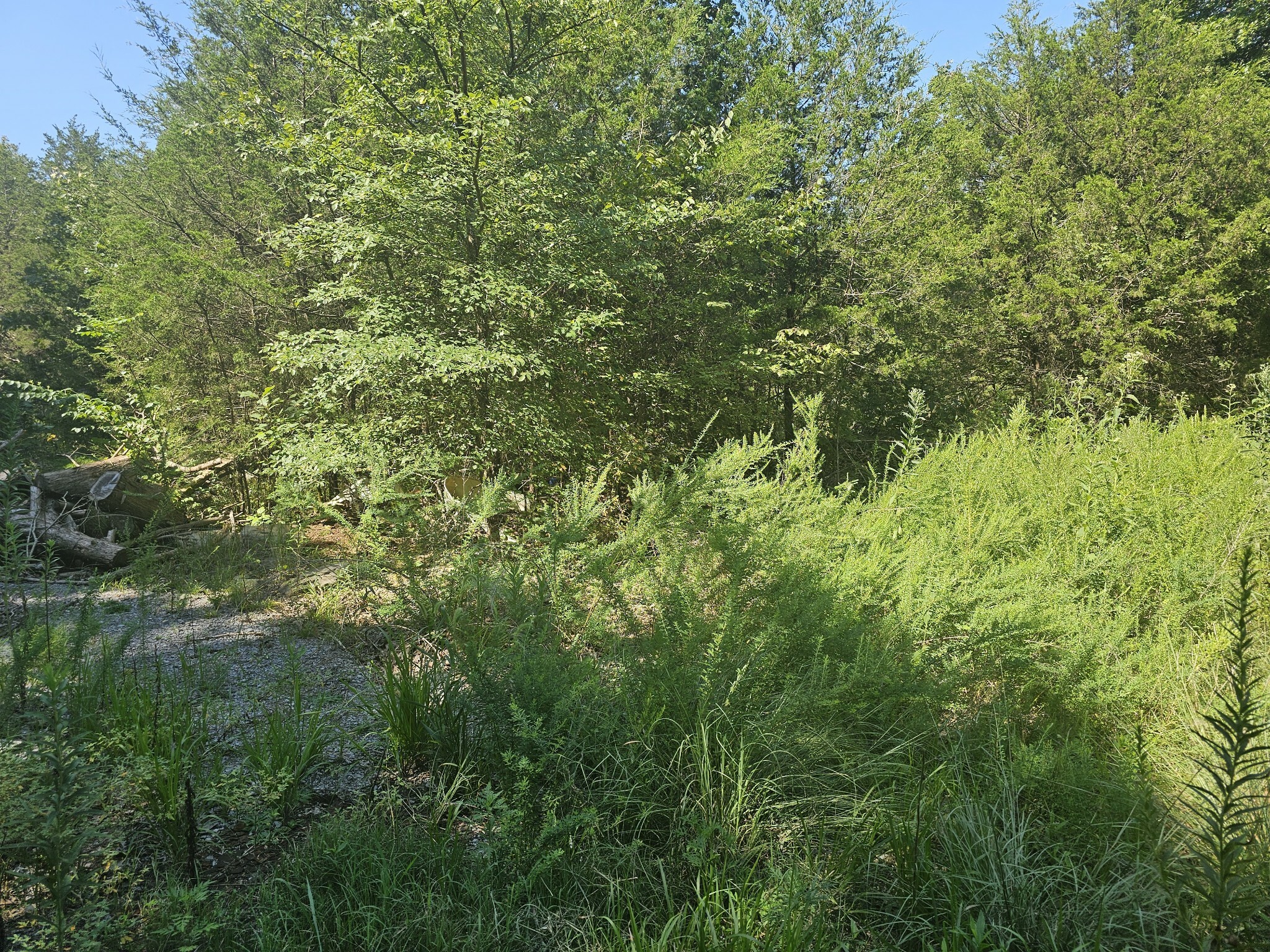 Property Photo:  0 Underwood Rd  TN 37122 