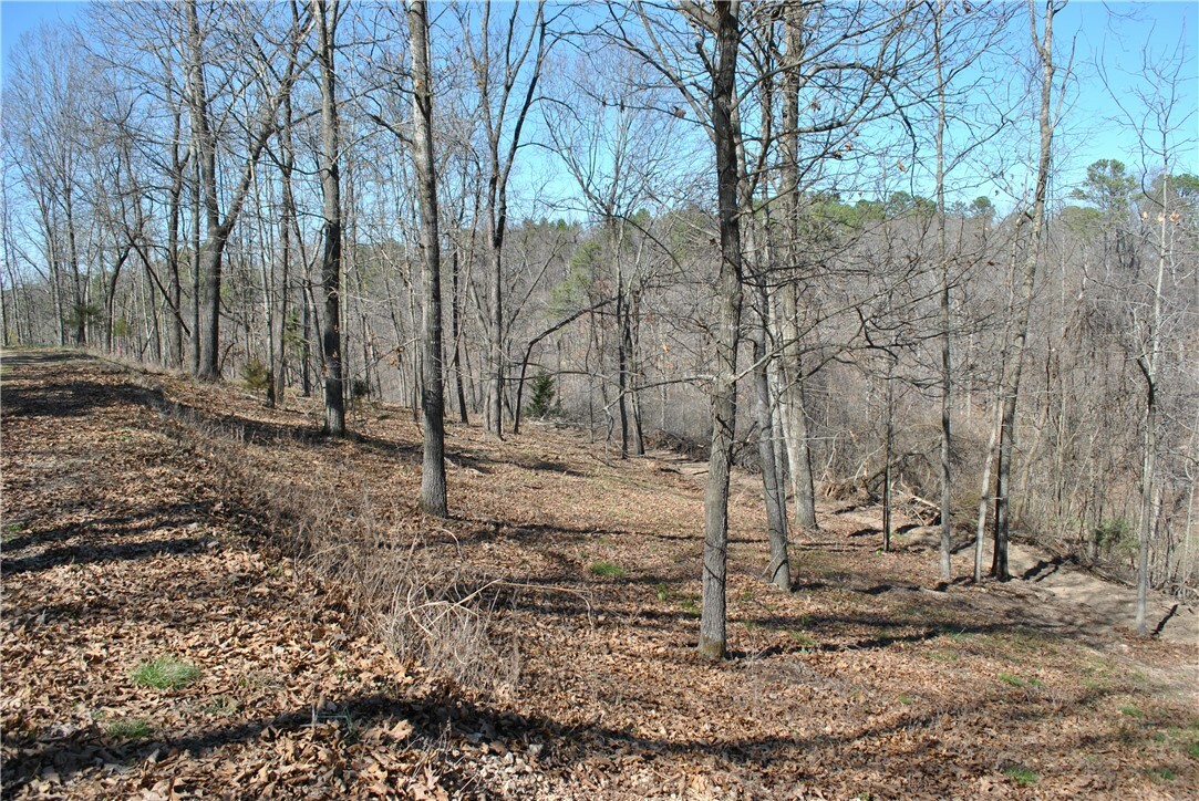 Property Photo:  Lot 104 E Robin Road  AR 72756 