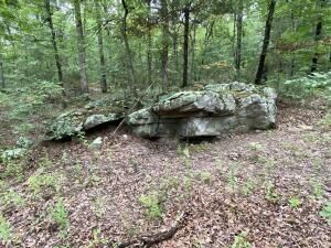 Property Photo:  Tom Thumb Cemetery Road  AR 72648 