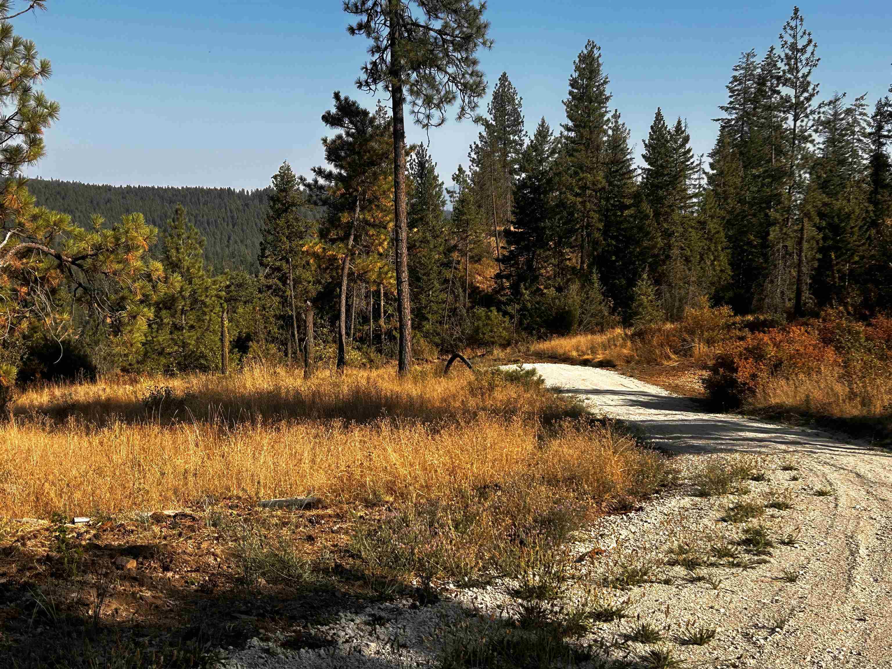 Property Photo:  000 Horseshoe Lake Rd  WA 99006 