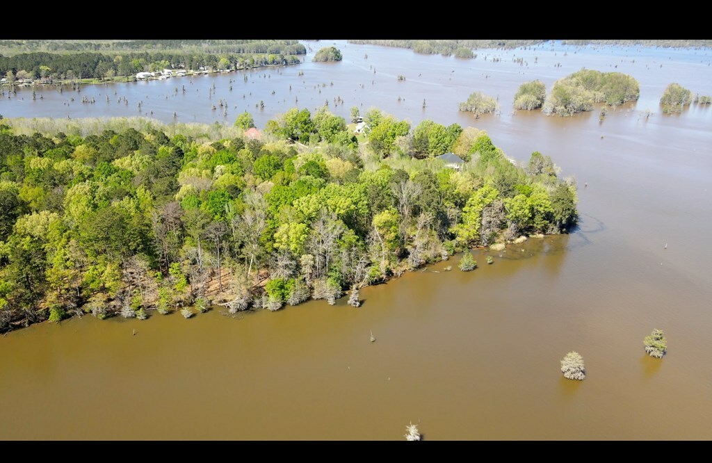 Property Photo:  N A Lot  5 -  Sawdust Ln  GA 31735 