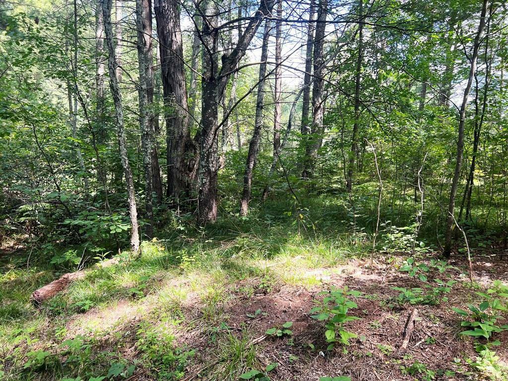 Property Photo:  Lot 10 Pine River Road  WI 54452 