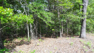 Property Photo:  2421 Patterson Bridge Ext  GA 30815 