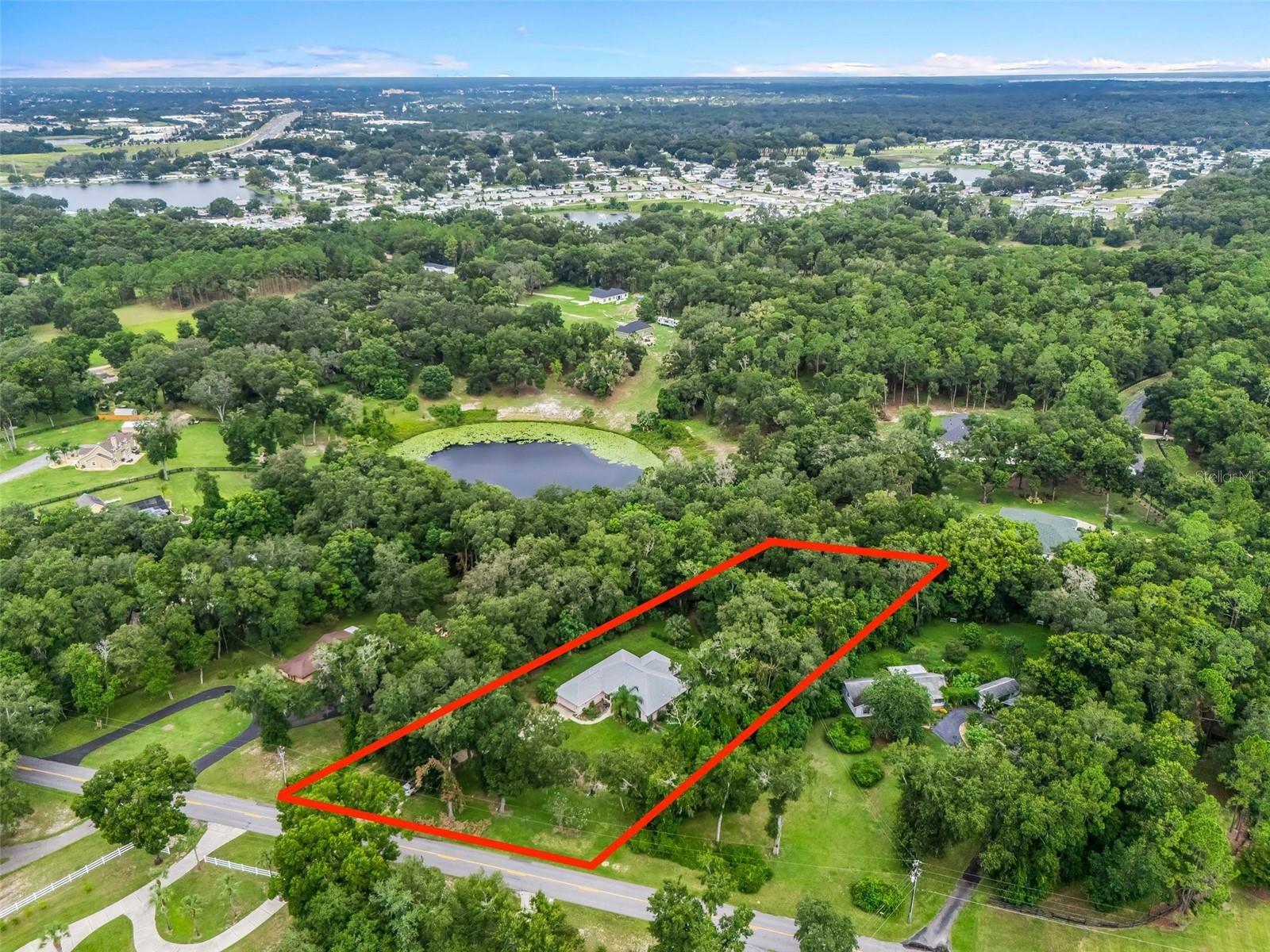 Property Photo:  2541 Lake Griffin Road  FL 32159 