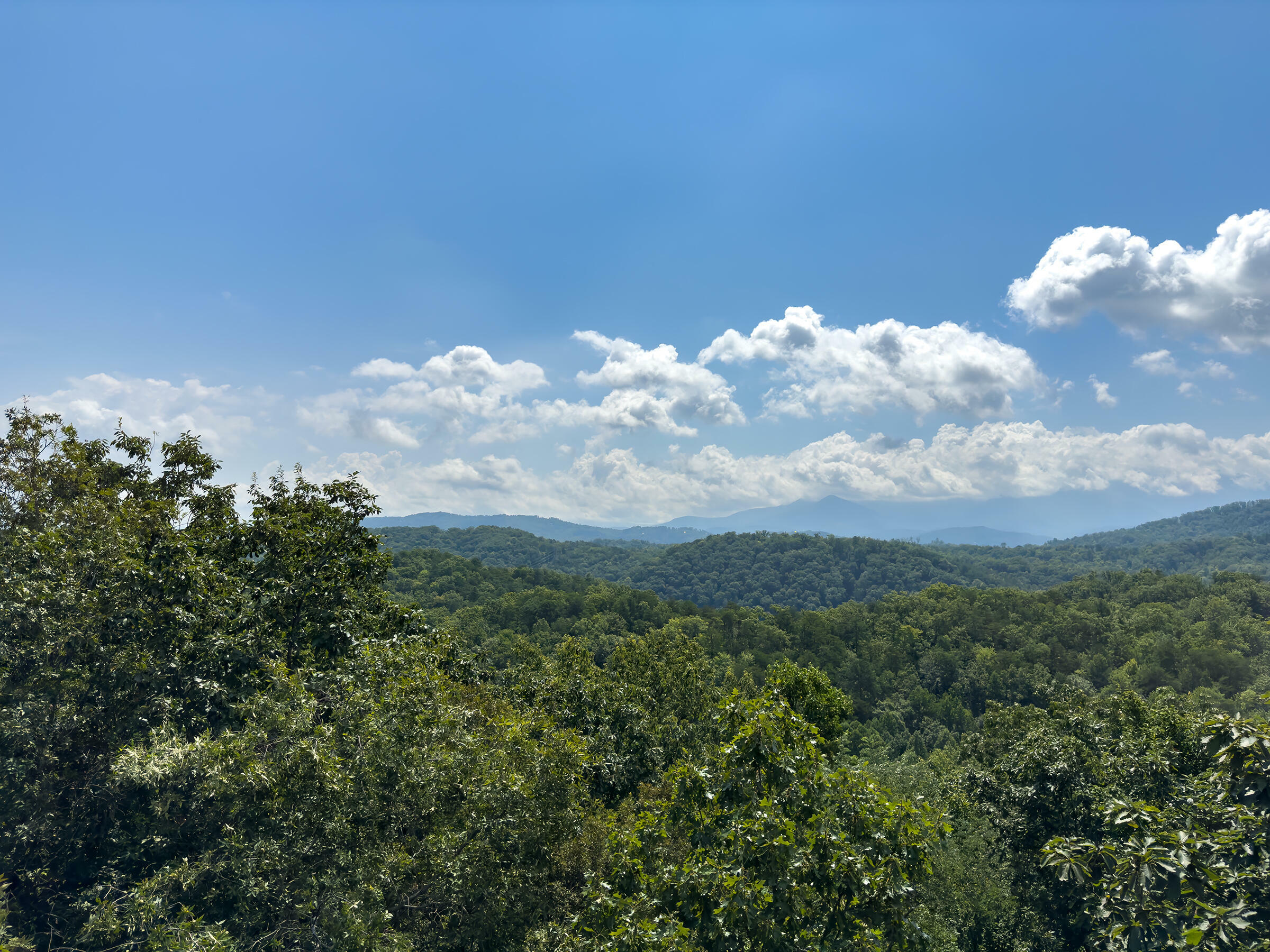 Property Photo:  4528 Rocky Bluff Way  TN 37863 