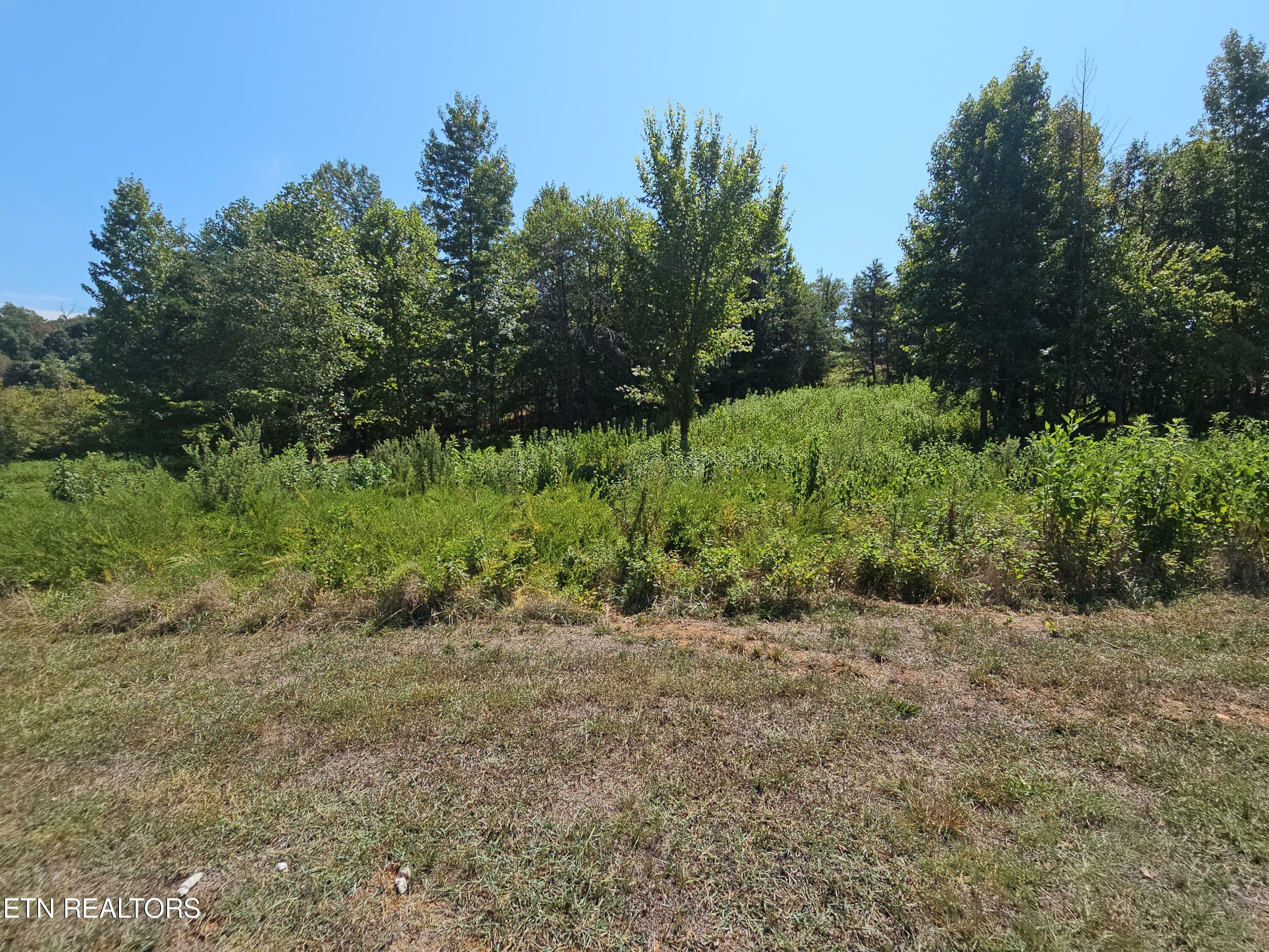 Property Photo:  Meadow Lane  TN 37748 