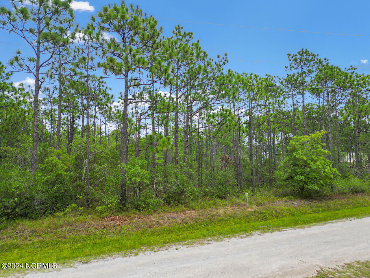 Property Photo:  Lot 414 Bridges Road  NC 28461 