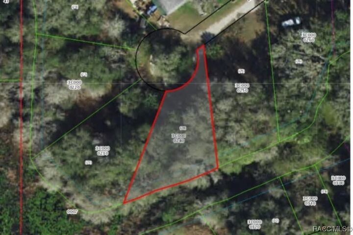 Property Photo: 96 N Sheltering Oaks Drive FL 34453