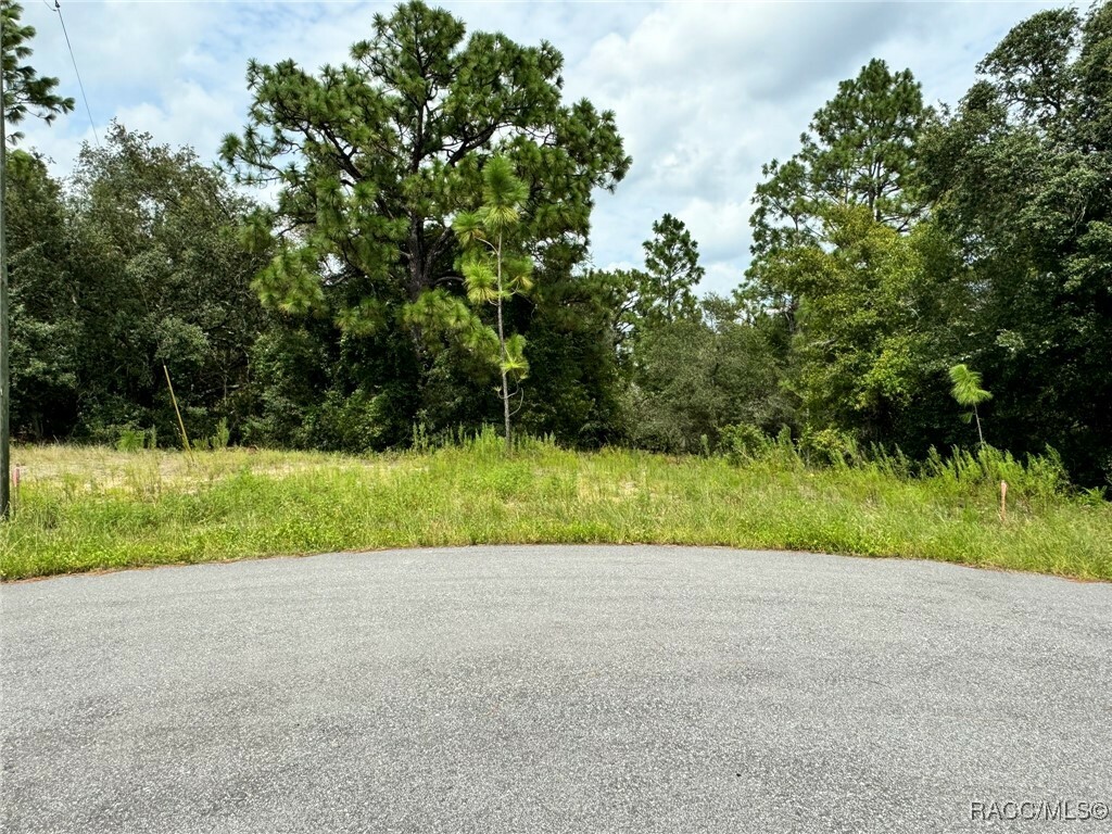 Property Photo:  11349 N Zeus Point  FL 34433 