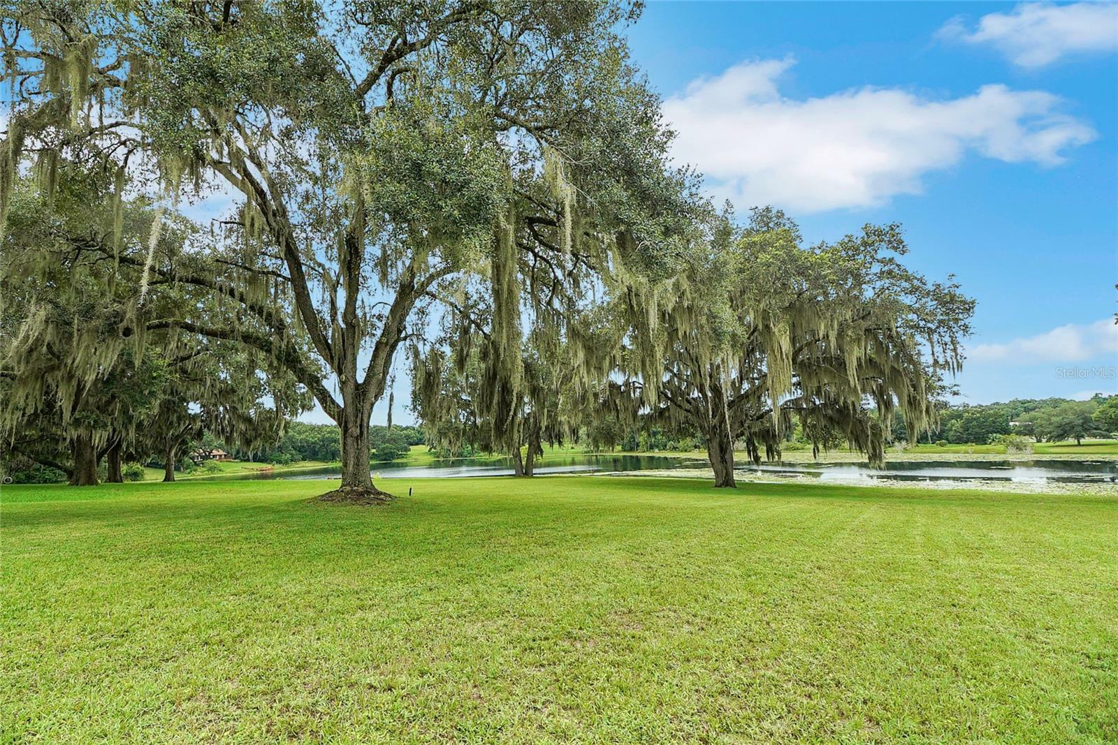 Property Photo:  2334 Lake Griffin Road  FL 32159 